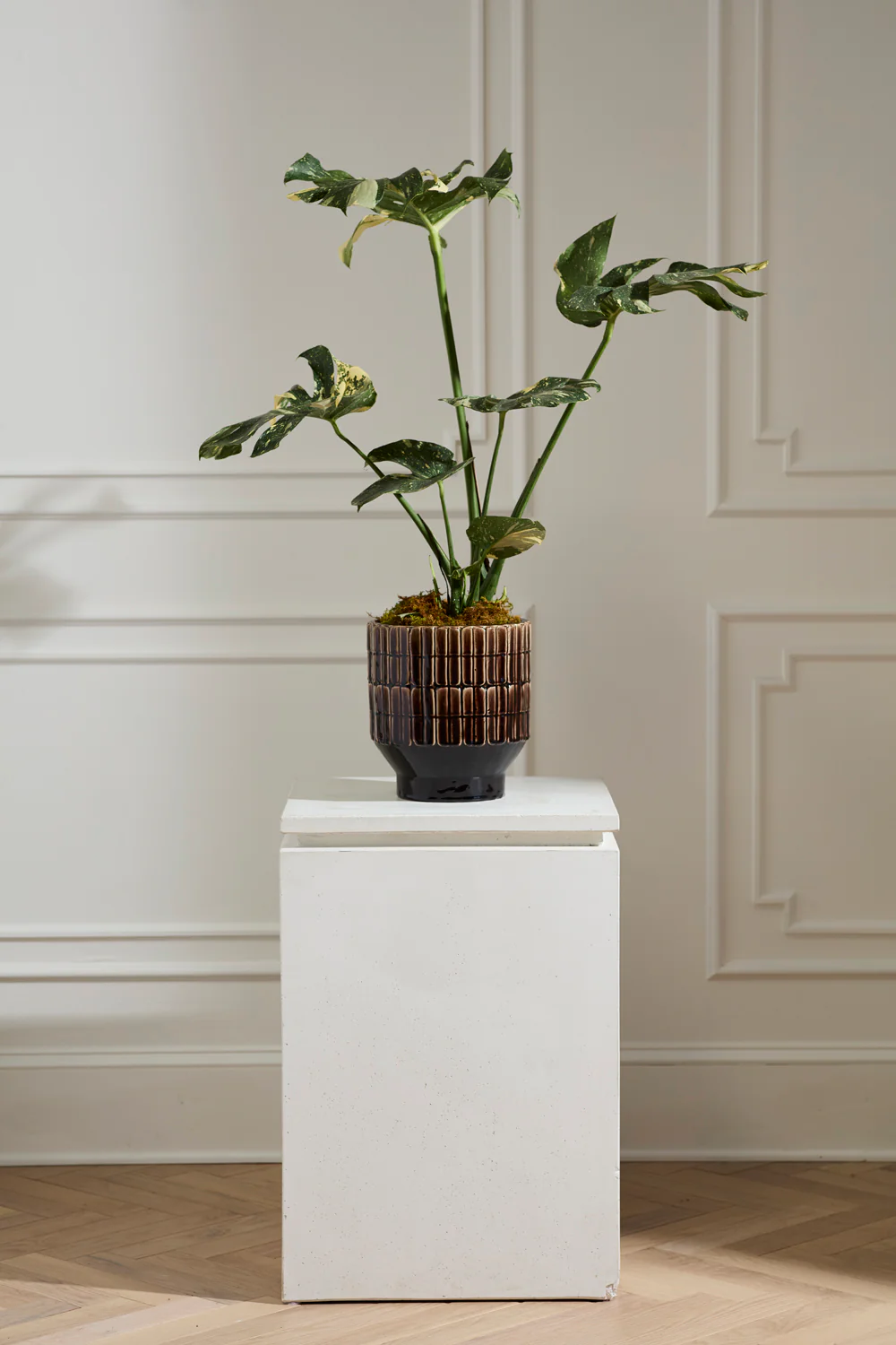 Kasra Pot By Accent Decor - Image 8