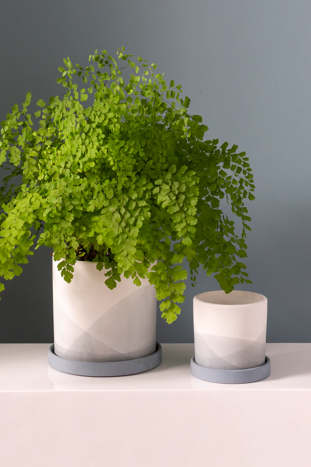 Keppel Pot Set of 4 By Accent Decor