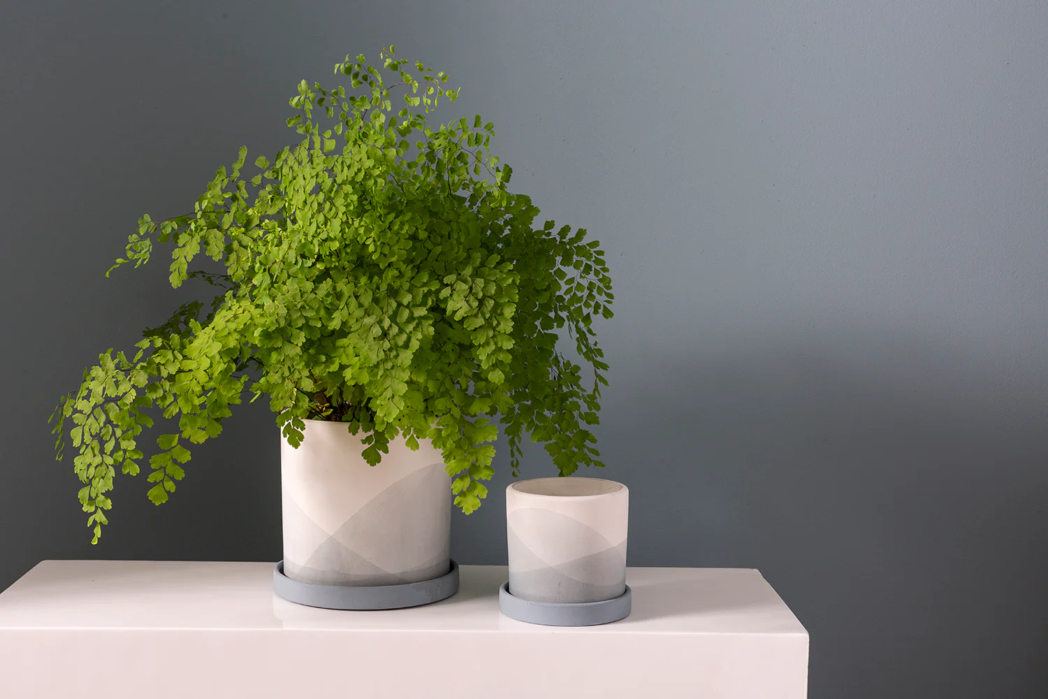 Keppel Pot Set of 4 By Accent Decor - Image 3