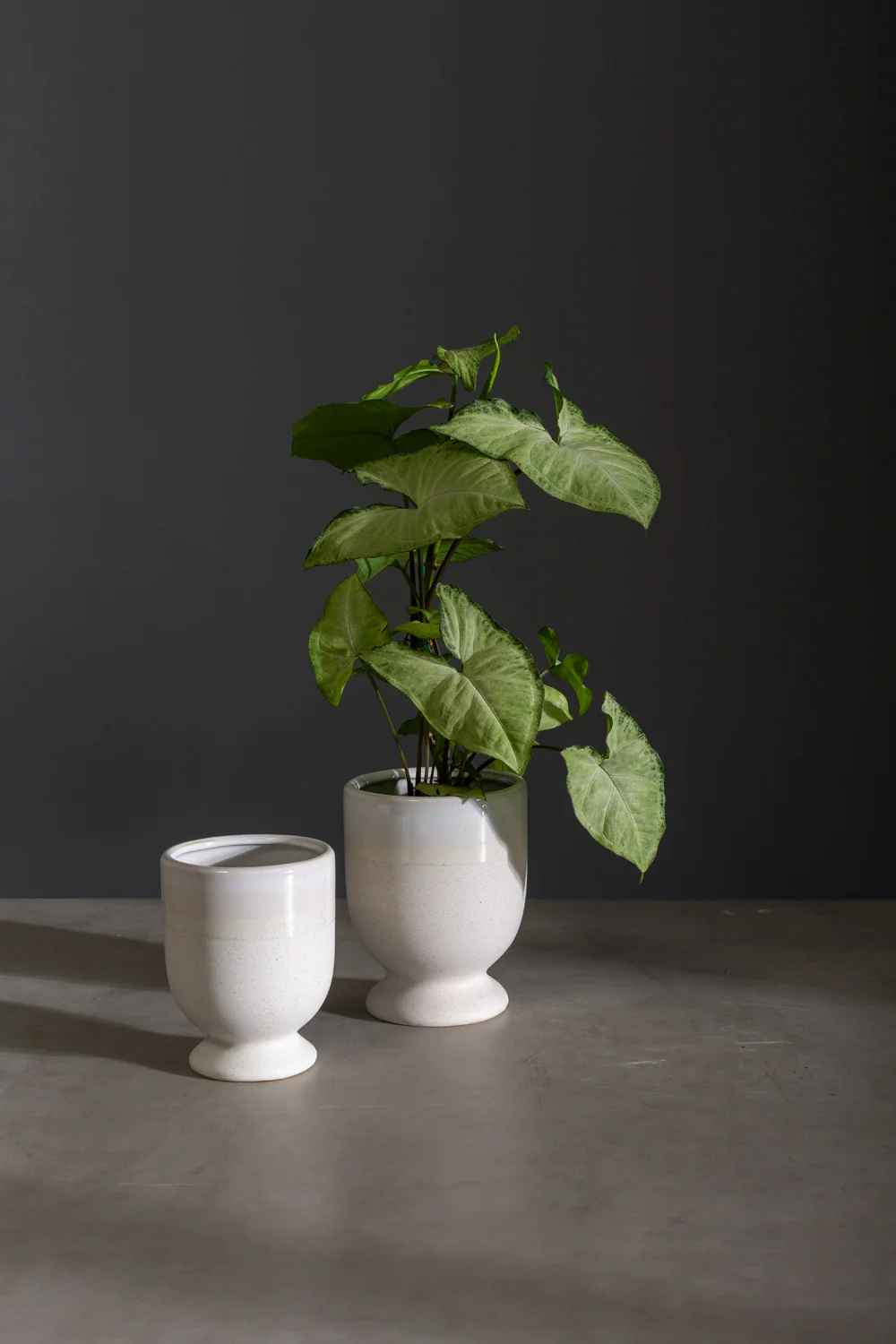 Laney Vase Set of 8 By Accent Decor - Image 3