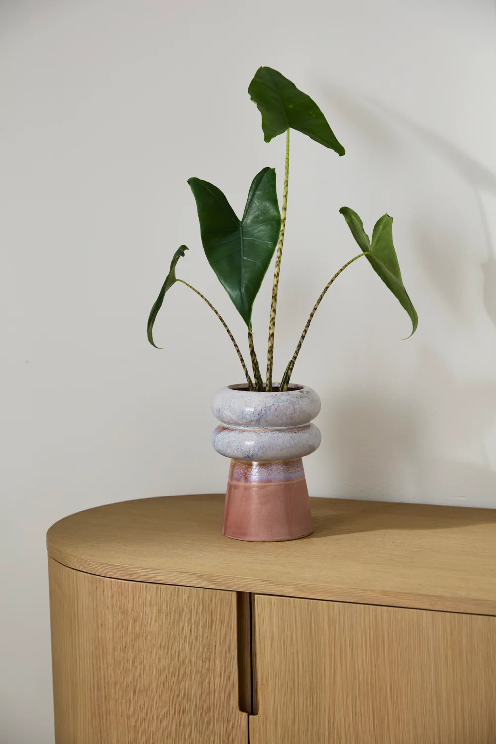 Lefkara Pot Set of 4 By Accent Decor - Image 3