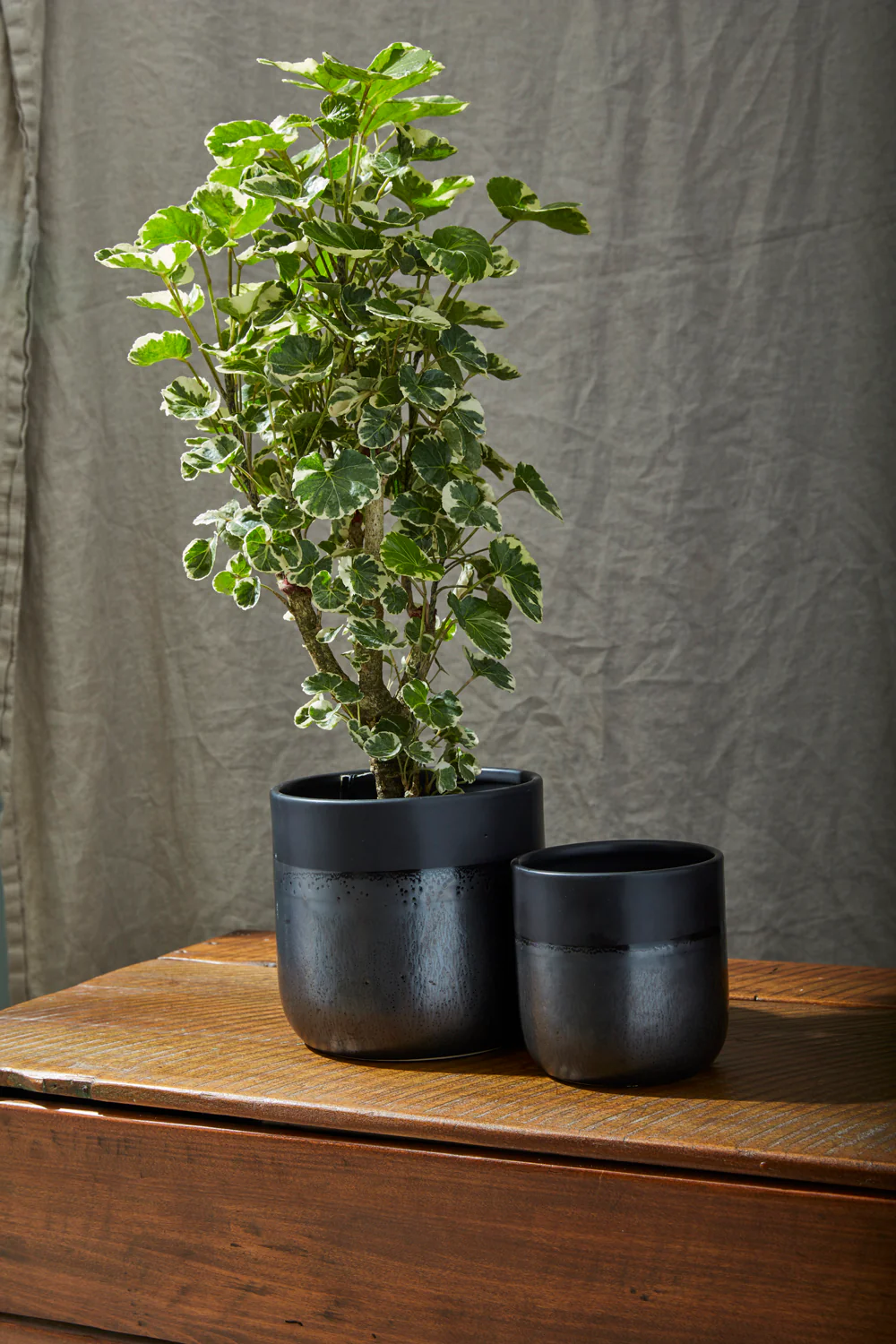 Lennon Pot Set of 4 By Accent Decor - Image 3