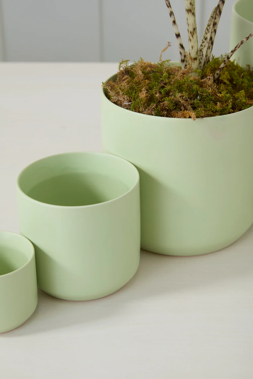 Light Green Kendall Pot Set of 8 By Accent Decor