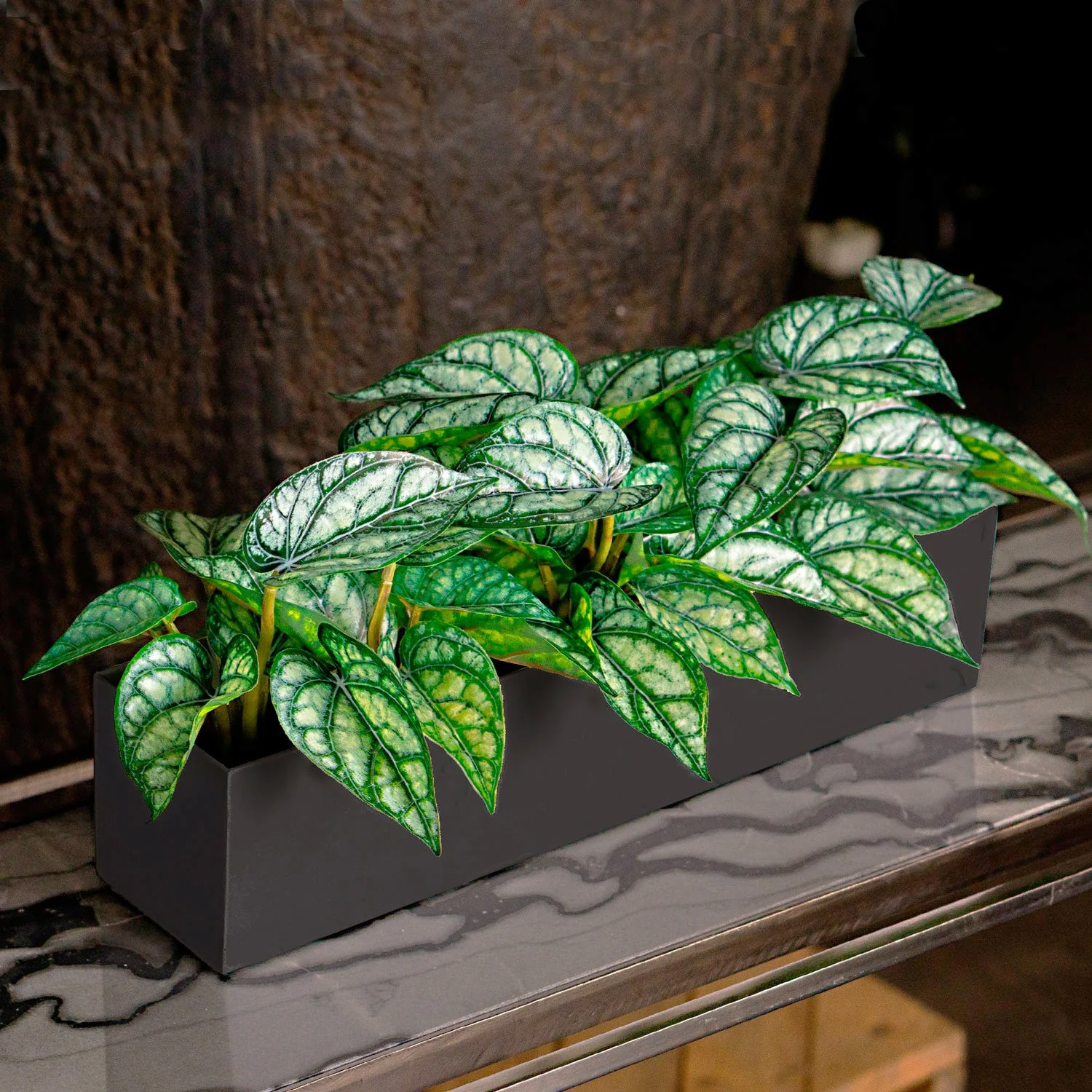 Linear Planter, Black Satin, 18"L By Gold Leaf - Image 4