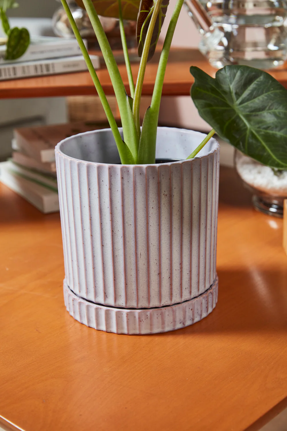 Los Feliz Pot with Saucer Set of 4 By Accent Decor - Image 12