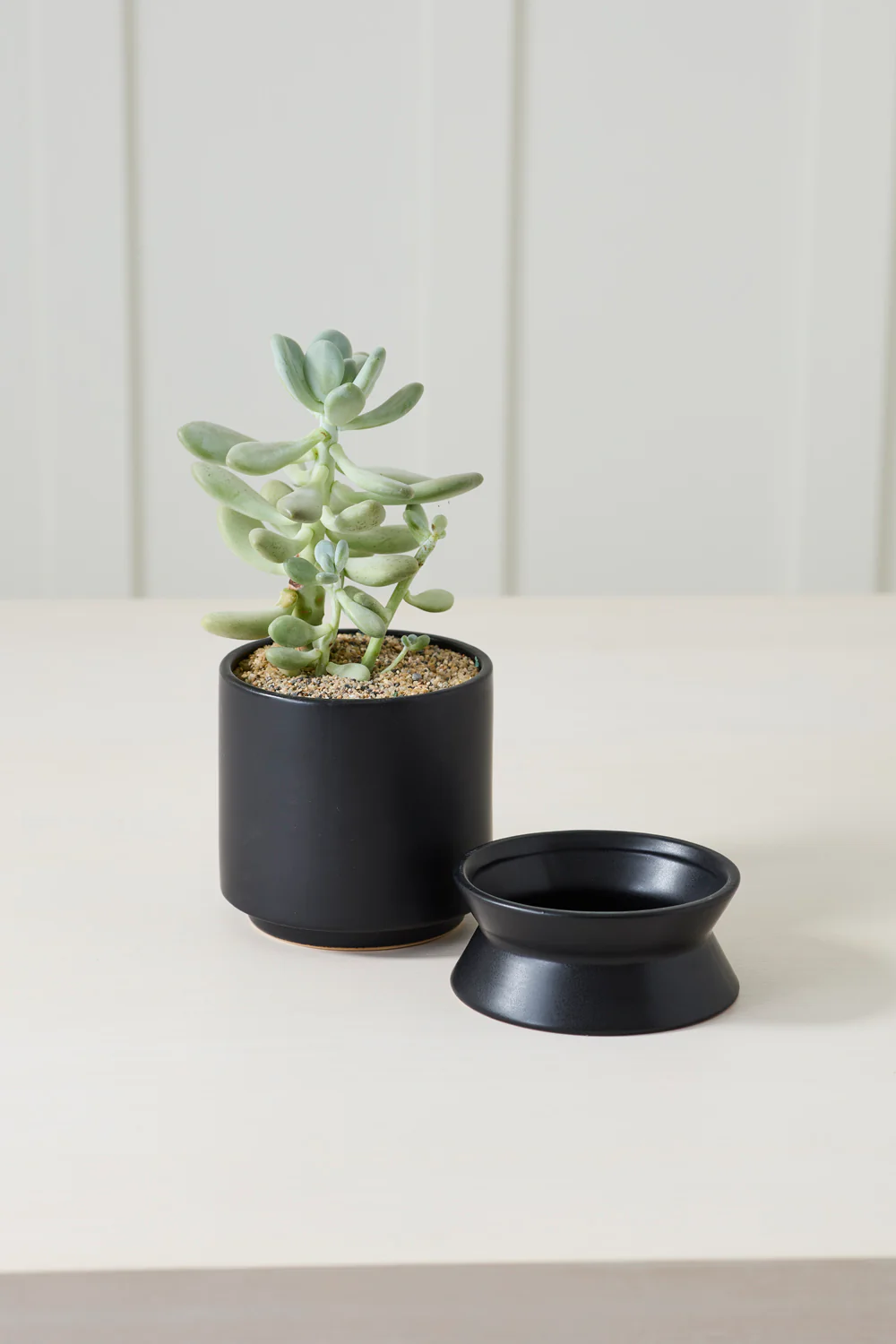 Madison Pot with Saucer Set of 2 By Accent Decor - Image 19