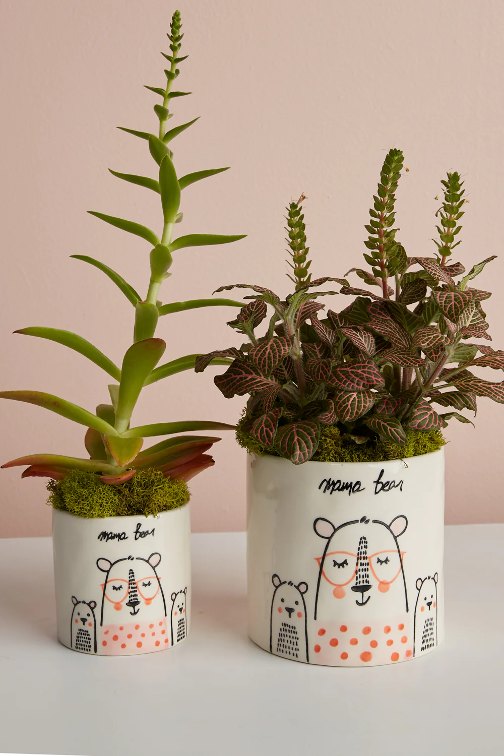 Mama Bear Collection Set of 8 By Accent Decor - Image 3