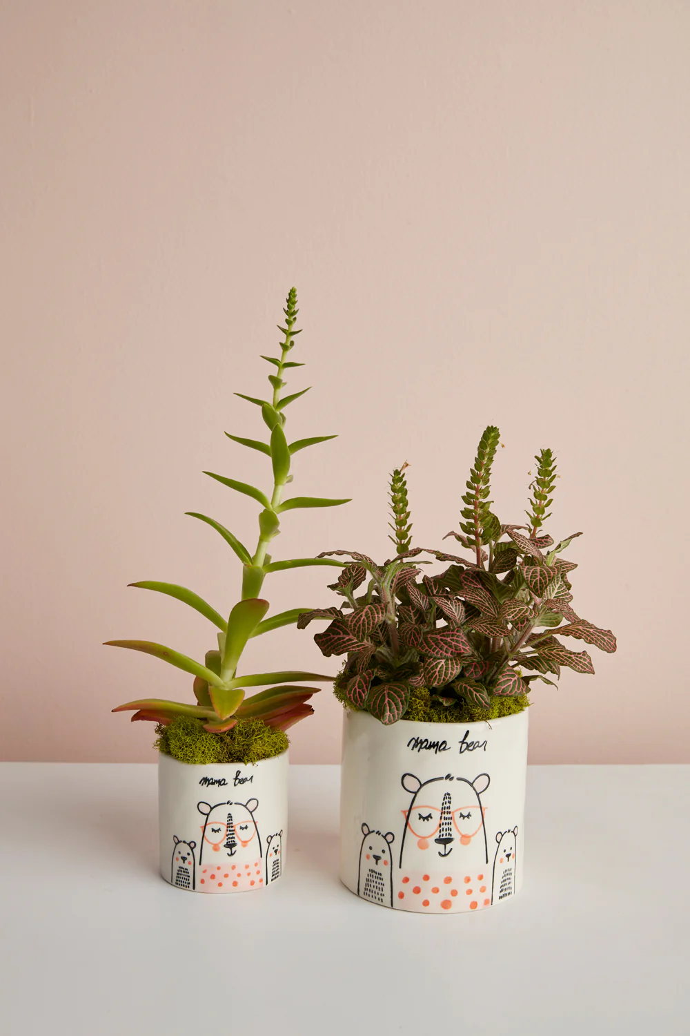 Mama Bear Collection Set of 8 By Accent Decor - Image 5