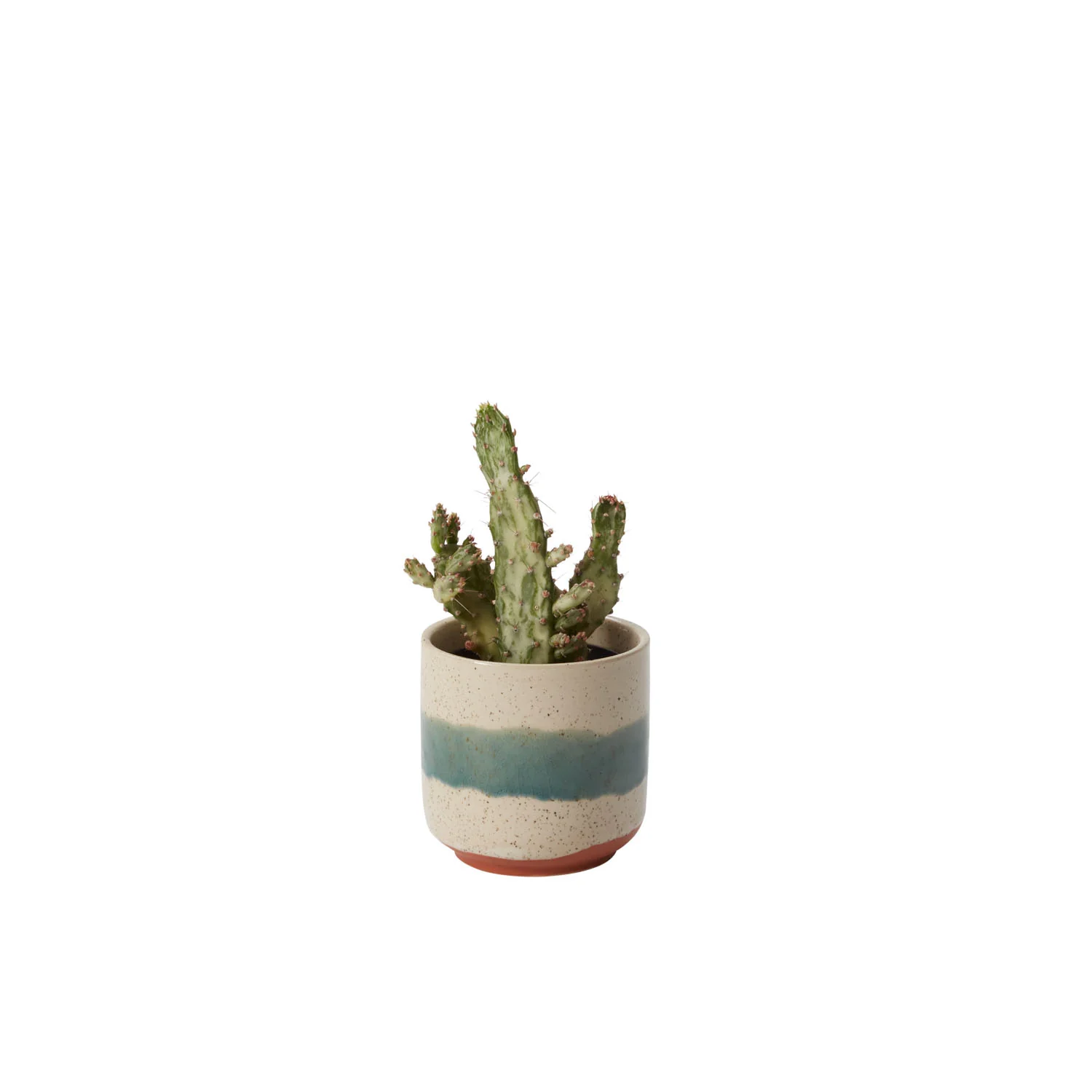 Mateo Pot Set of 8 By Accent Decor - Image 2
