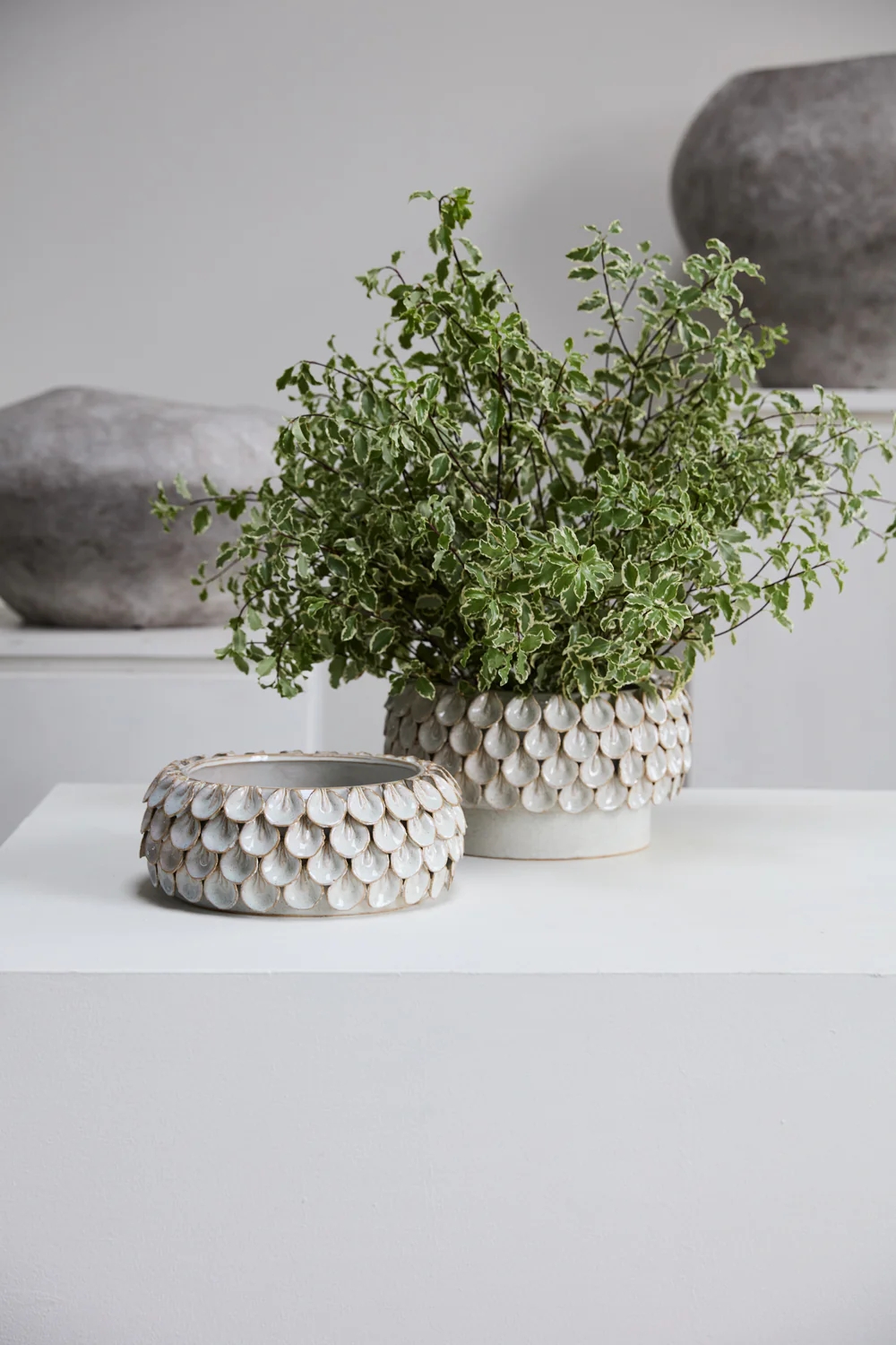 Mirabai Bowl By Accent Decor - Image 3