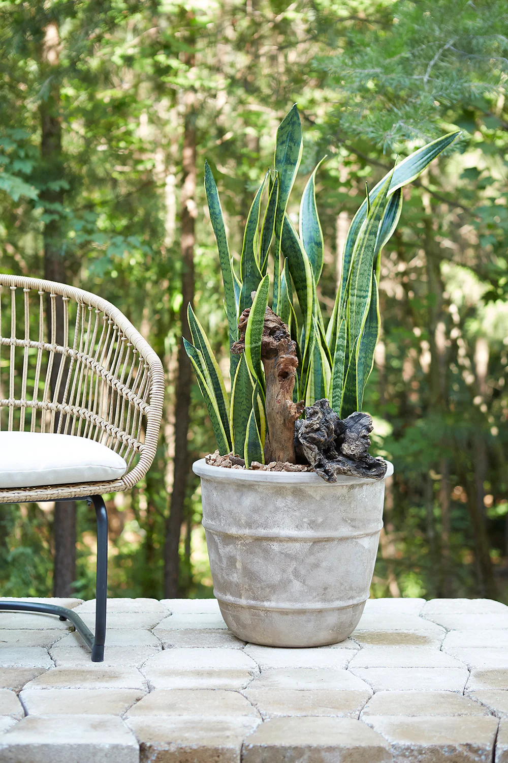 Monteclair Planter By Accent Decor - Image 8