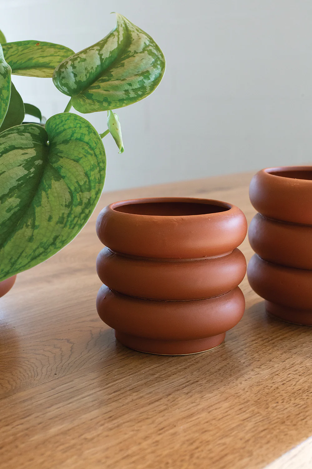 Motley Pot Set of 8 By Accent Decor - Image 6