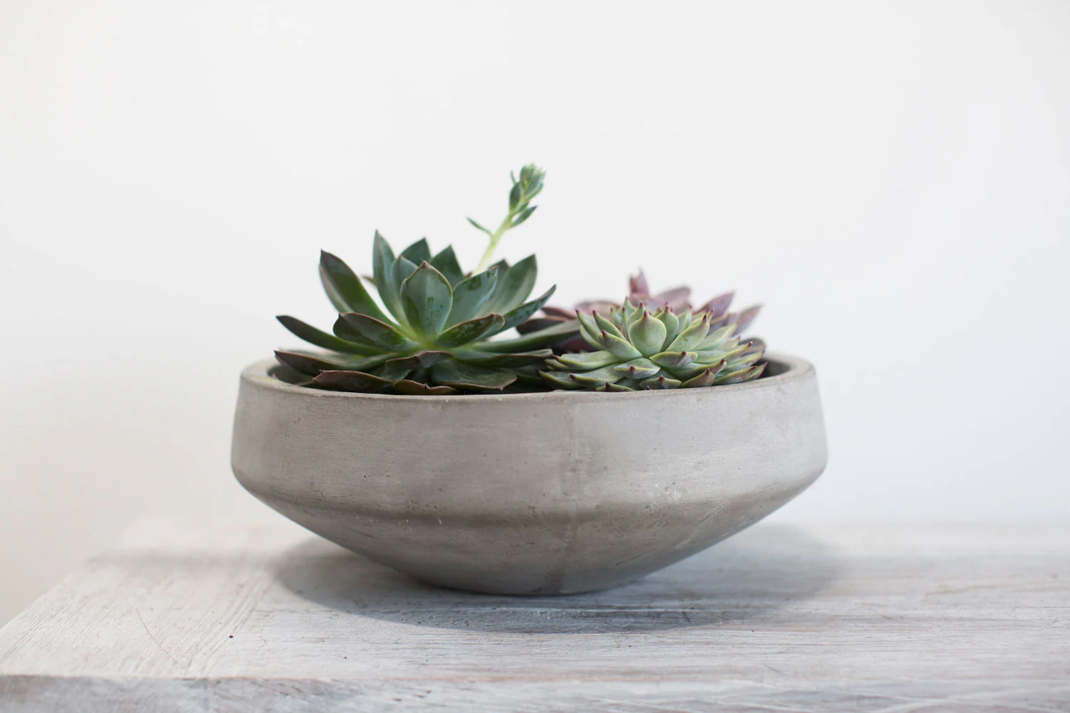 Newport Low Bowl Set of 2 By Accent Decor - Image 14
