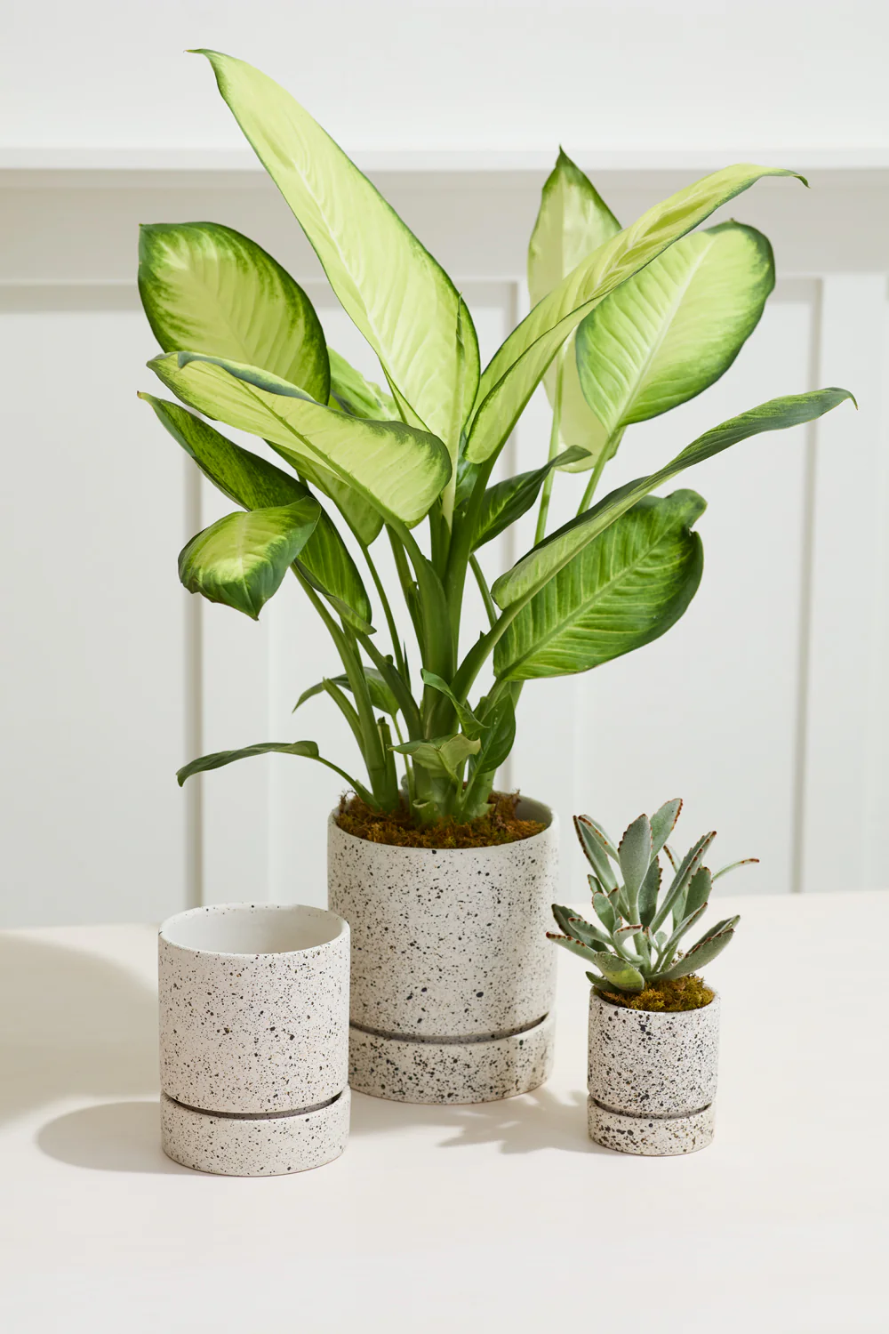 Nisha Pot Set of 4 By Accent Decor - Image 3
