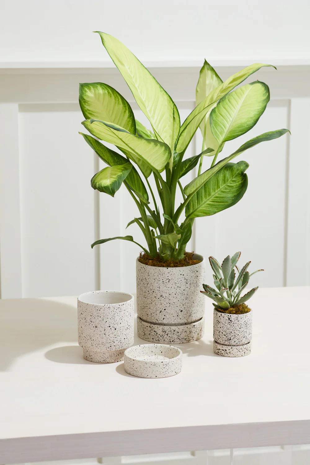 Nisha Pot Set of 4 By Accent Decor - Image 4