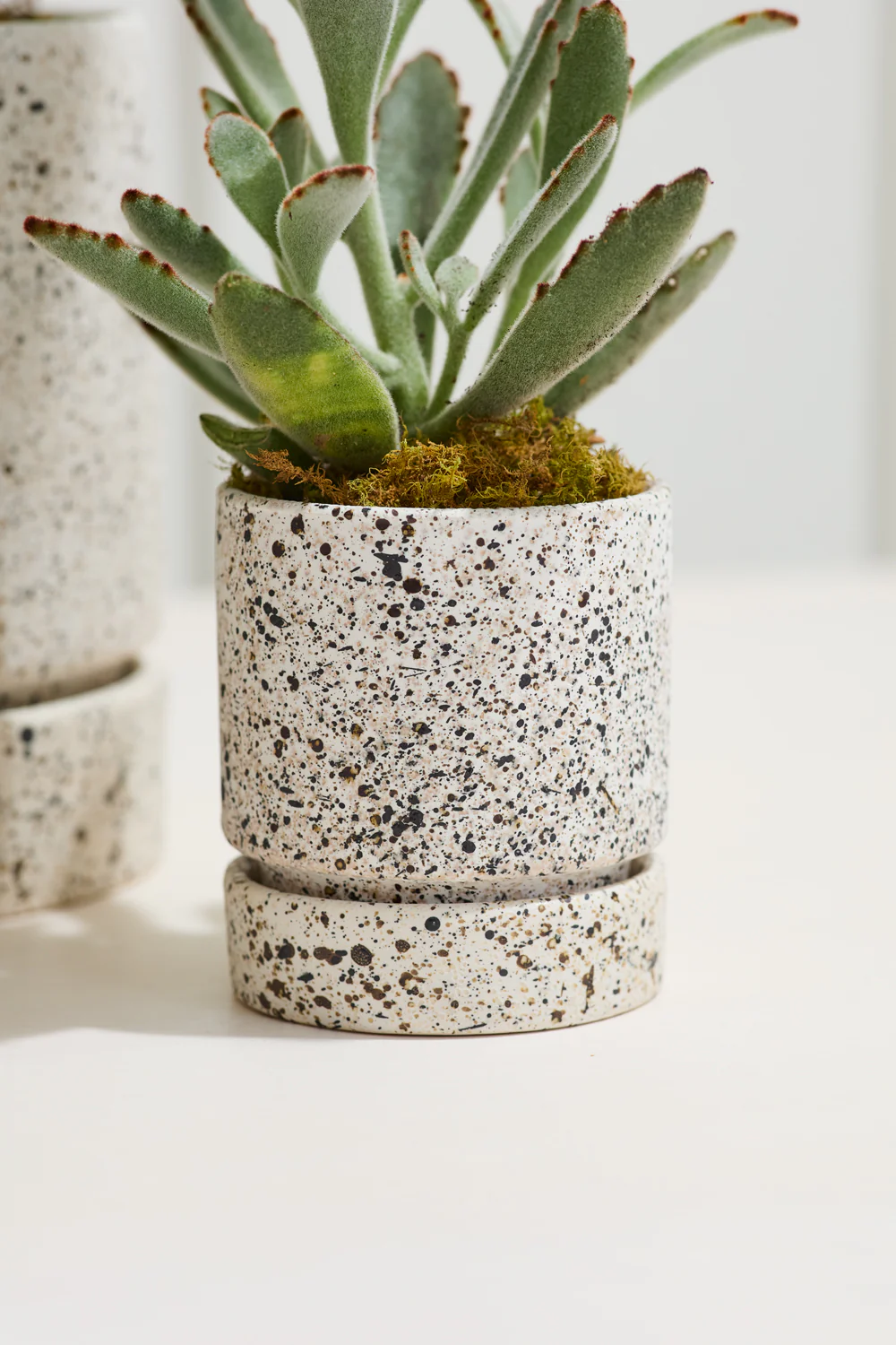 Nisha Pot Set of 4 By Accent Decor - Image 7