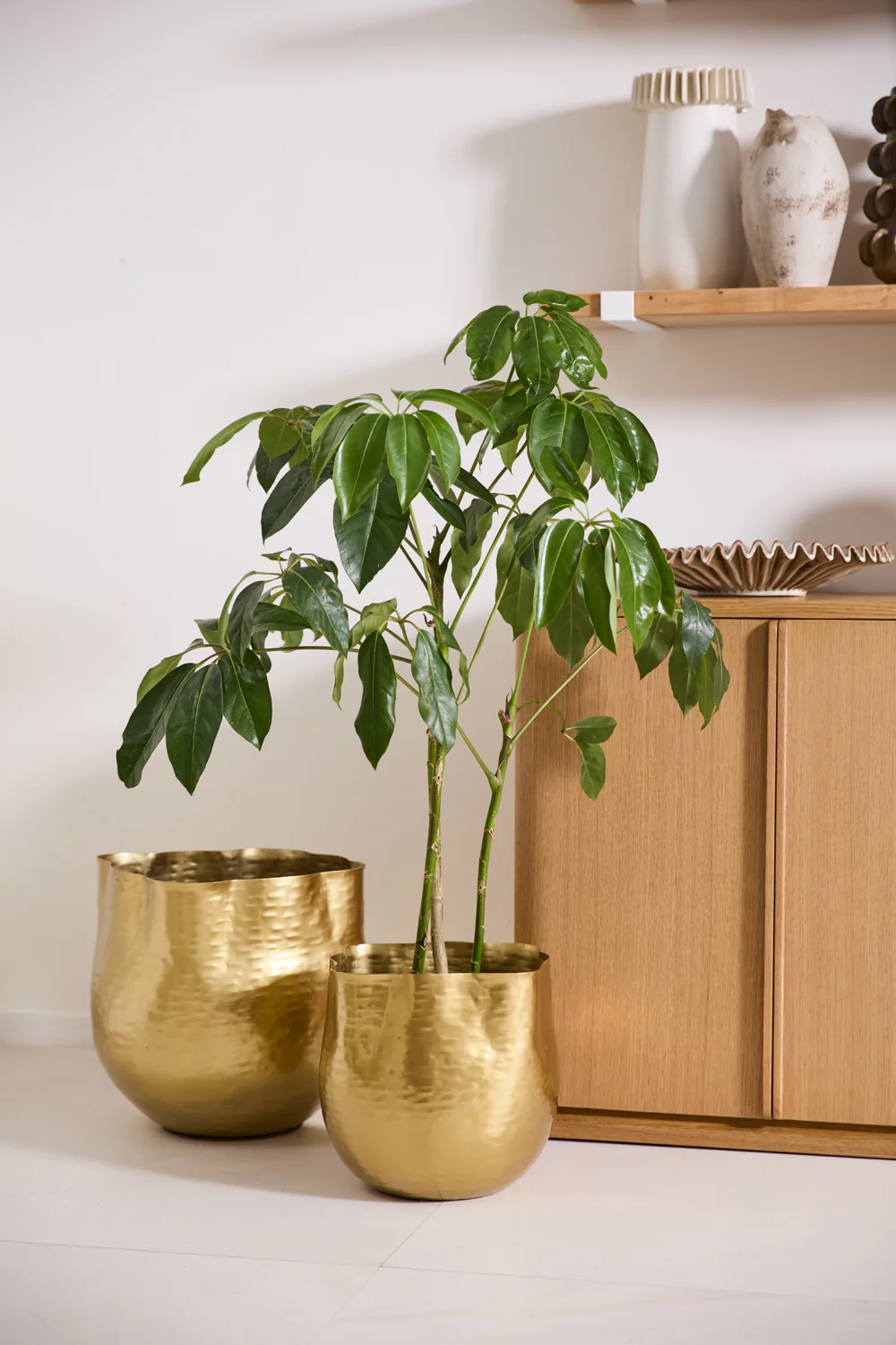 Novella Pot By Accent Decor - Image 3