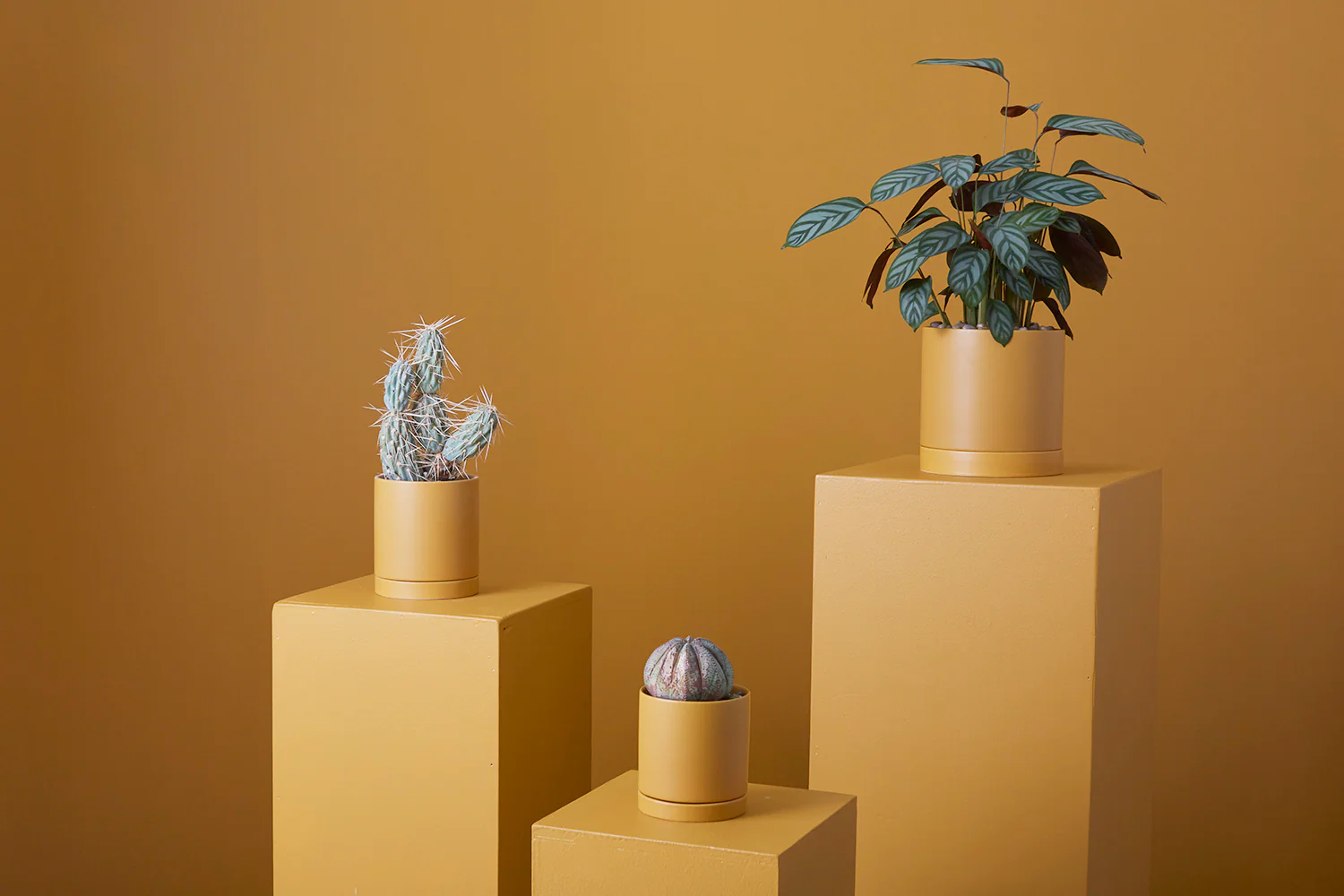 Ochre Romey Pot By Accent Decor - Image 12