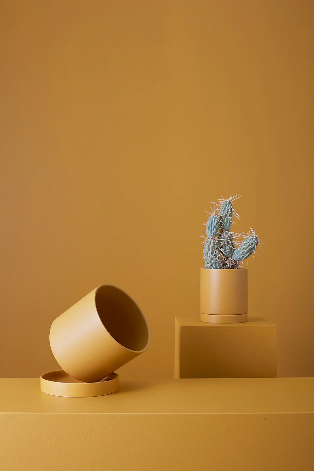 Ochre Romey Pot By Accent Decor - Image 13