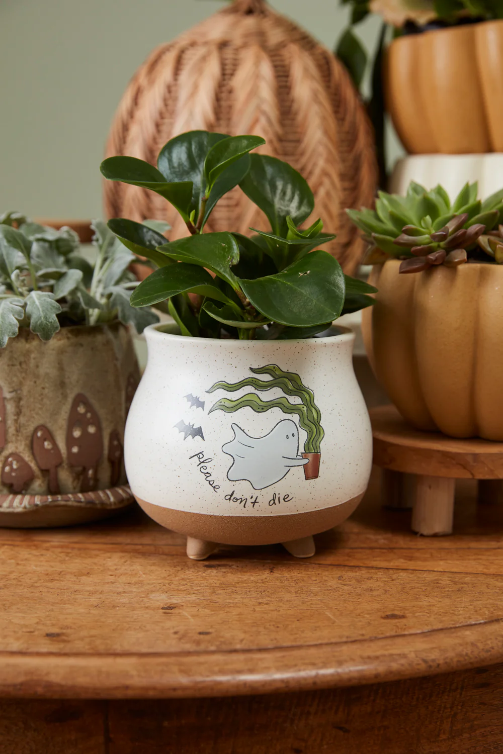 Optimistic Ghost Pot Set of 4 By Accent Decor - Image 6