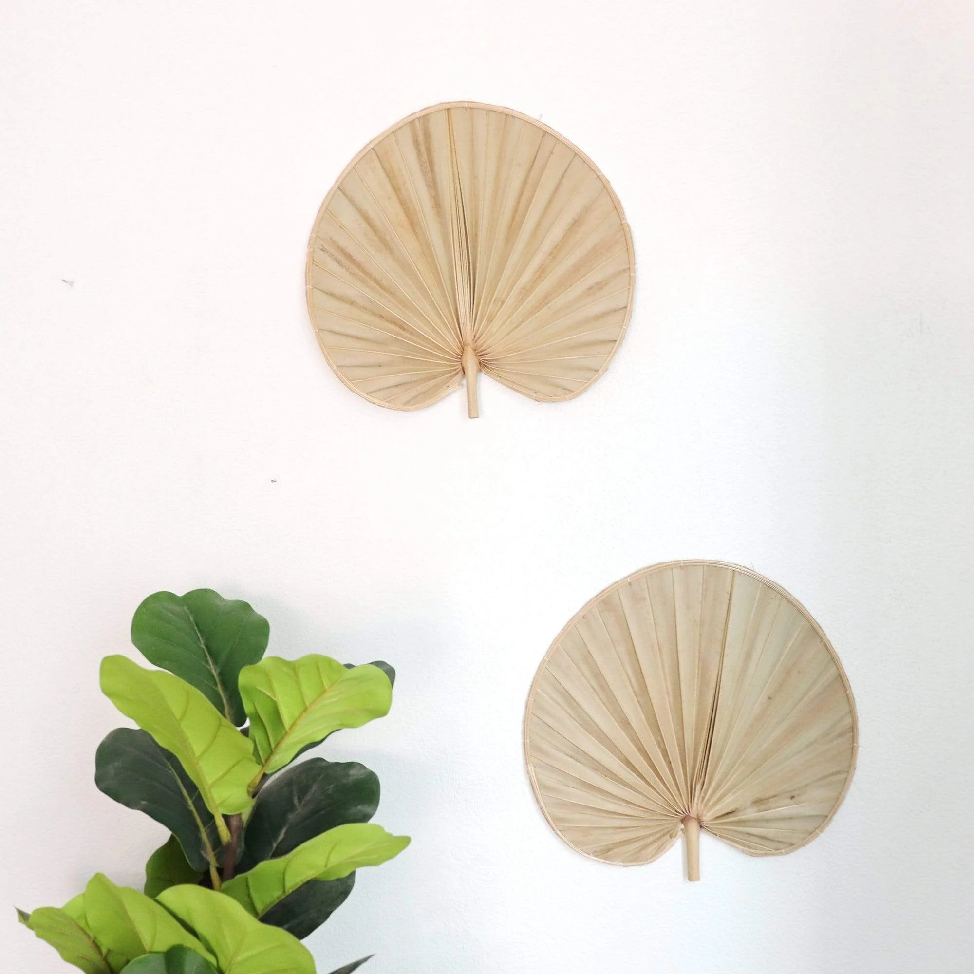 Palm Leaf Wall Decor Set Of 2 - Phi Ya Pat By Thaihome - Image 5