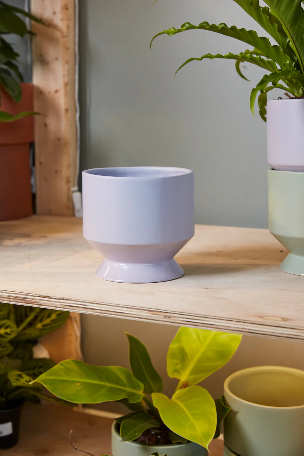 Pasadena Pot Set of 4 By Accent Decor - Image 13