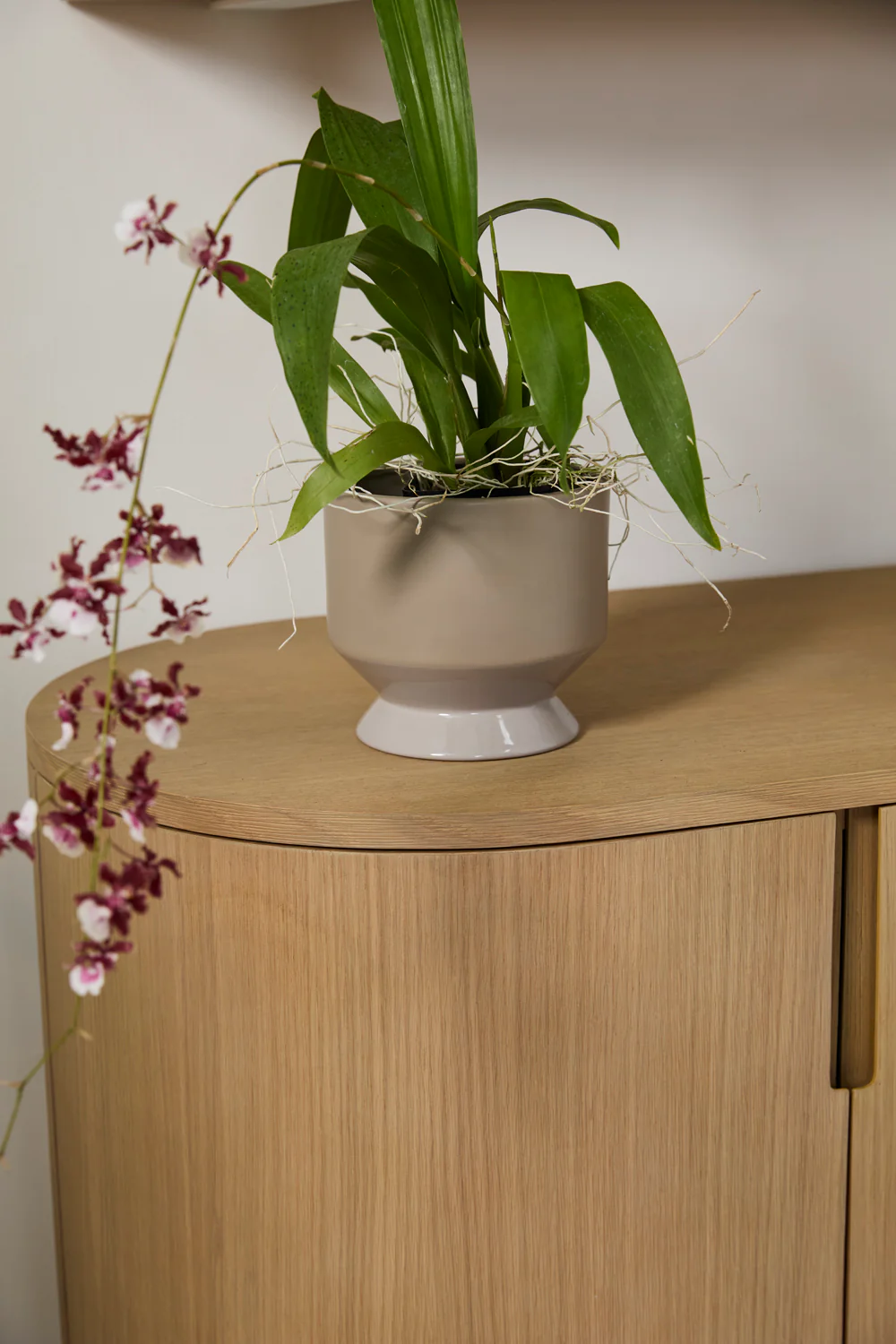 Pasadena Pot Set of 4 By Accent Decor - Image 55