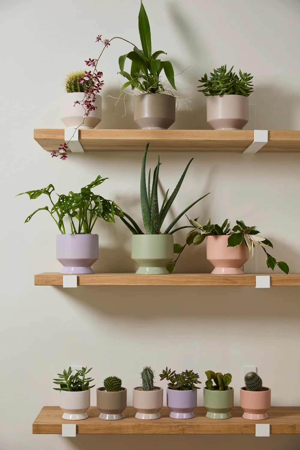 Pasadena Pot Set of 4 By Accent Decor - Image 6