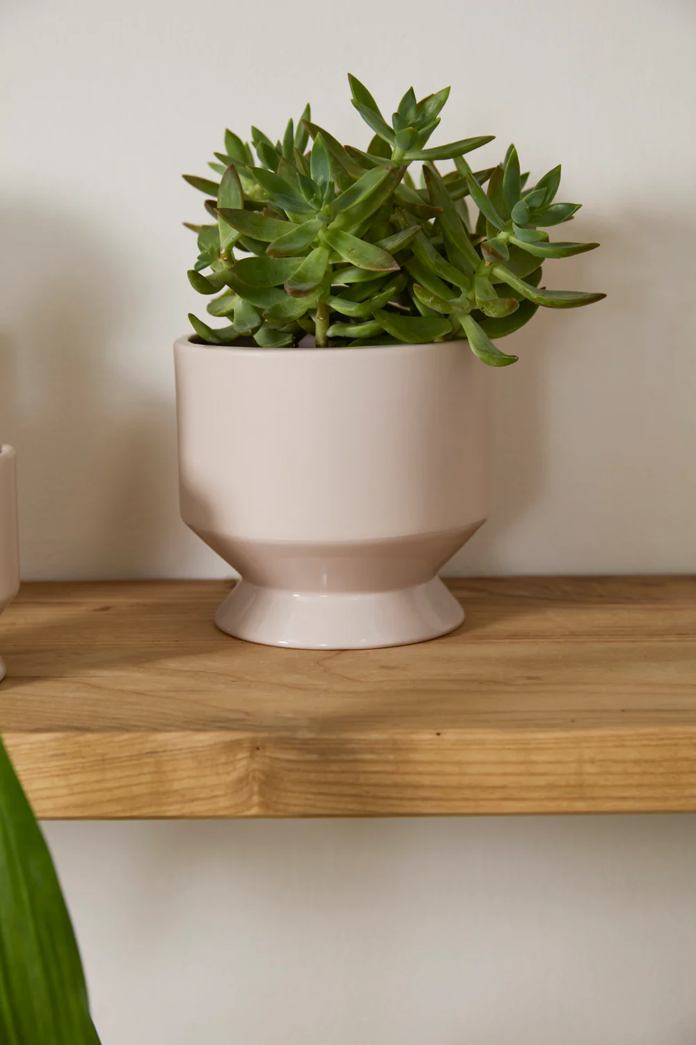 Pasadena Pot Set of 4 By Accent Decor - Image 60