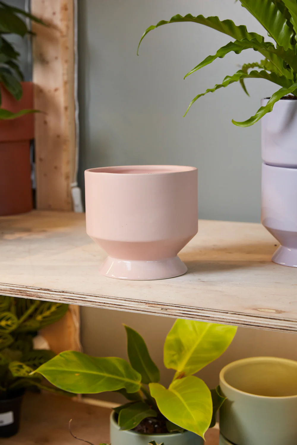 Pasadena Pot Set of 4 By Accent Decor - Image 7