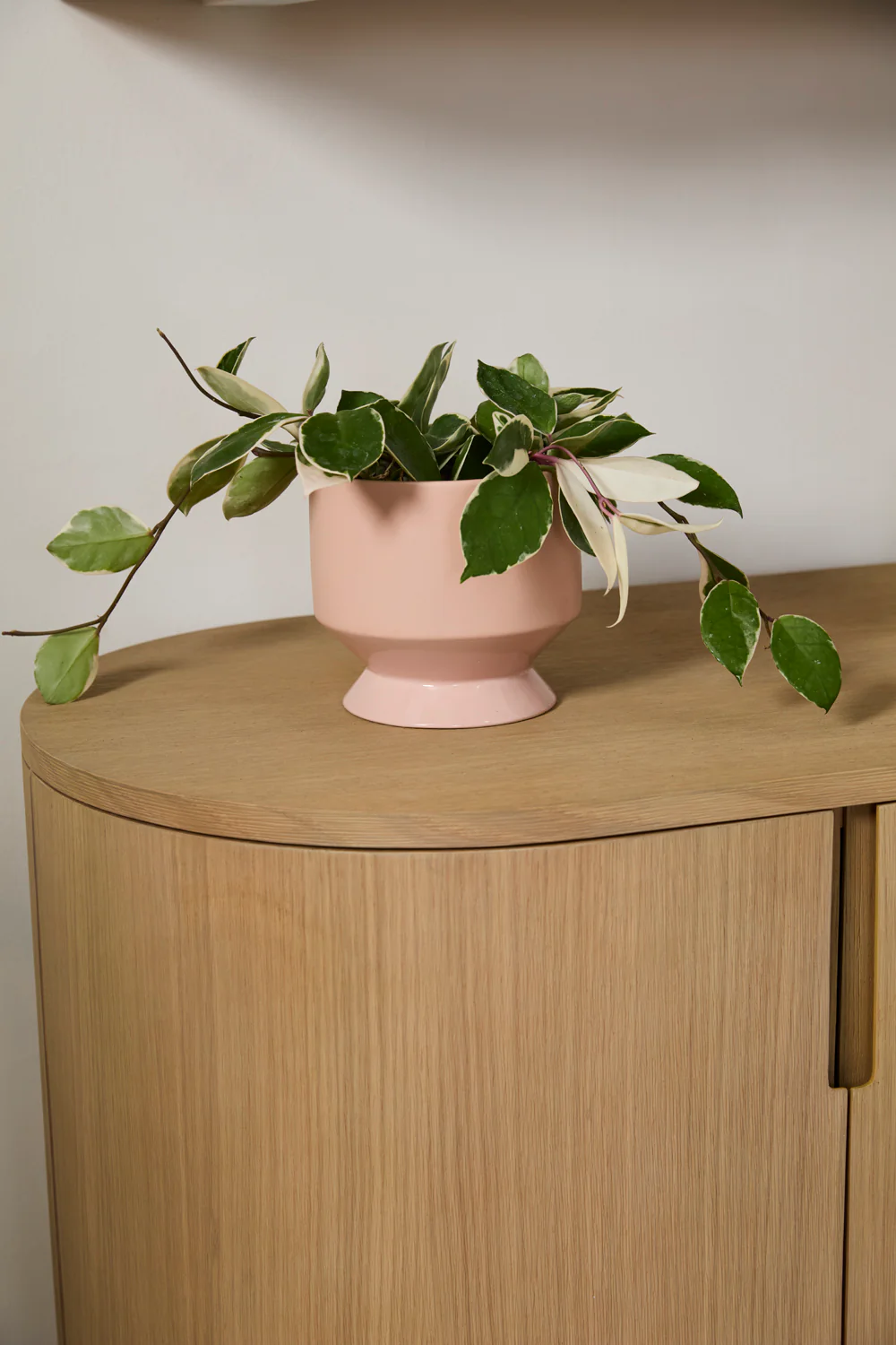 Pasadena Pot Set of 4 By Accent Decor - Image 8