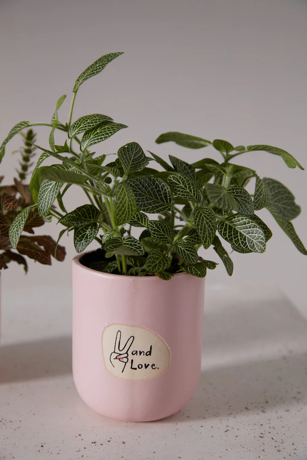 Peace and Love Pot Set of 8 By Accent Decor - Image 11