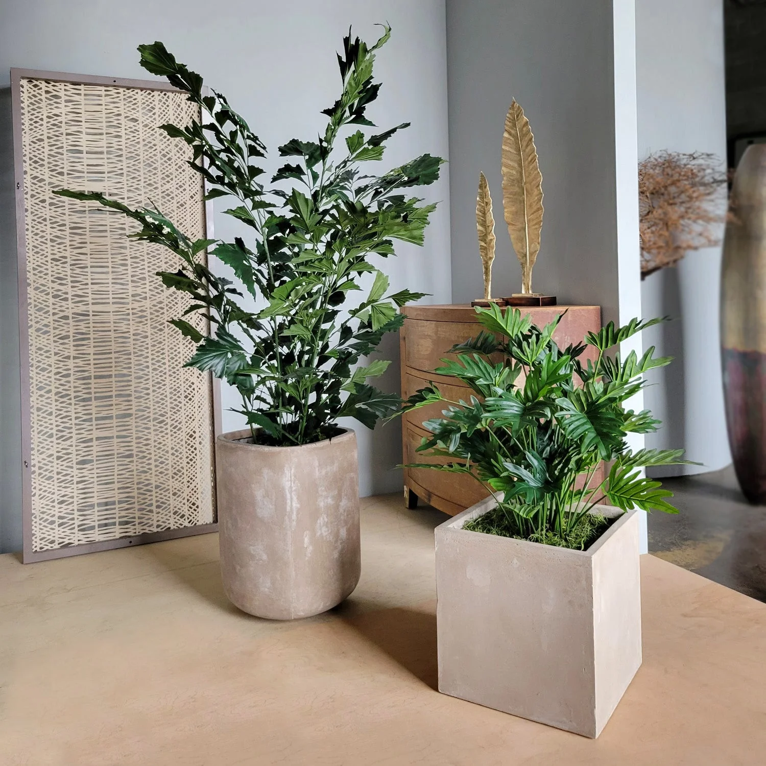 Philodendron 38”H in Square Urbano, SM By Gold Leaf - Image 7