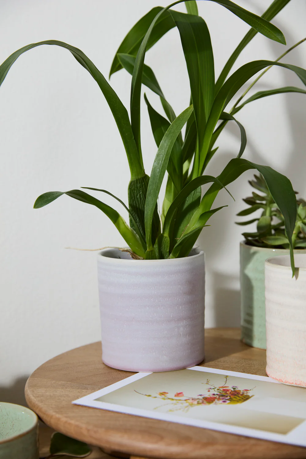 Roux Pot Set of 8 By Accent Decor - Image 5