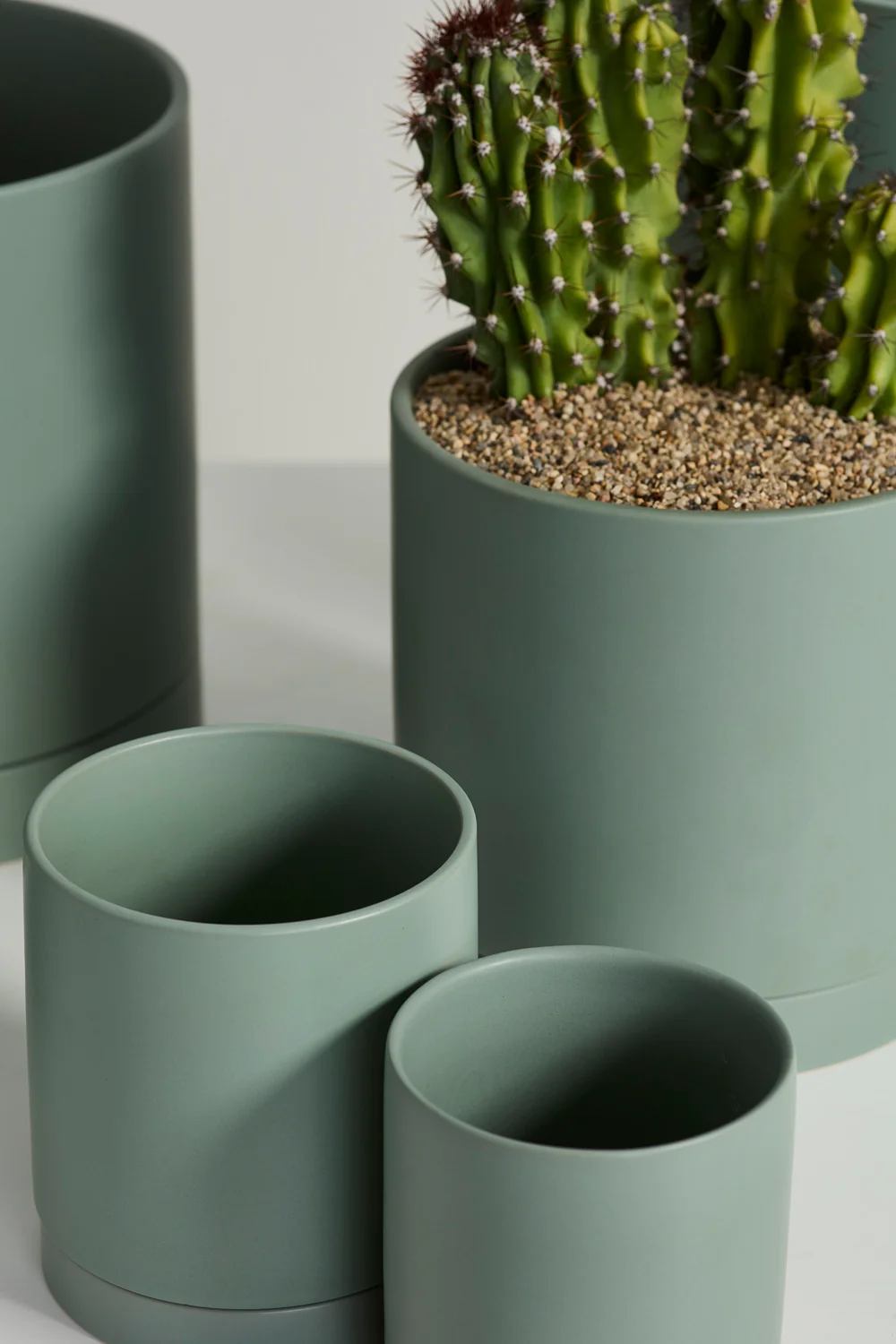 Sage Romey Pot By Accent Decor