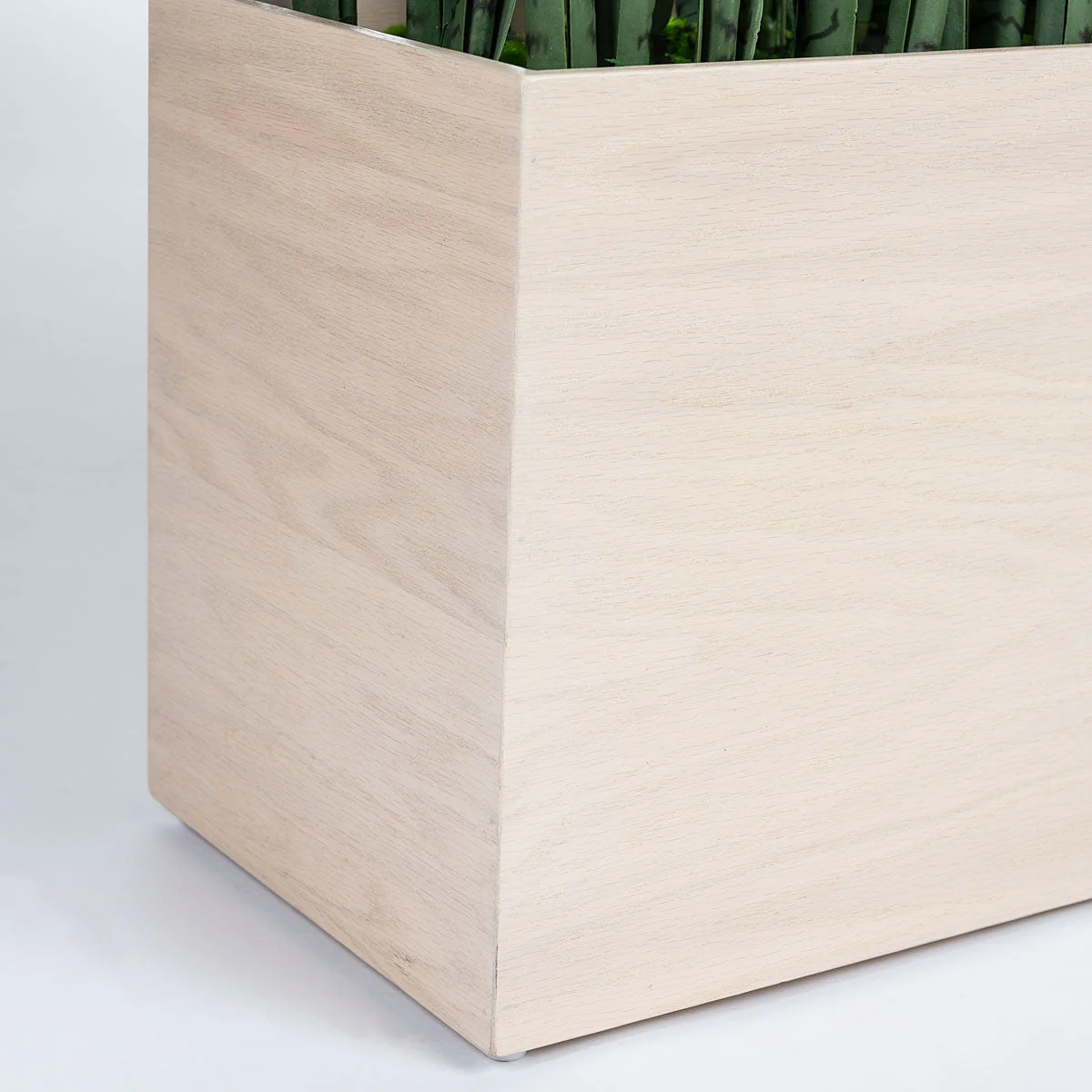 Sansevieria 29"H in Whitewash Rectangle Planter By Gold Leaf - Image 4