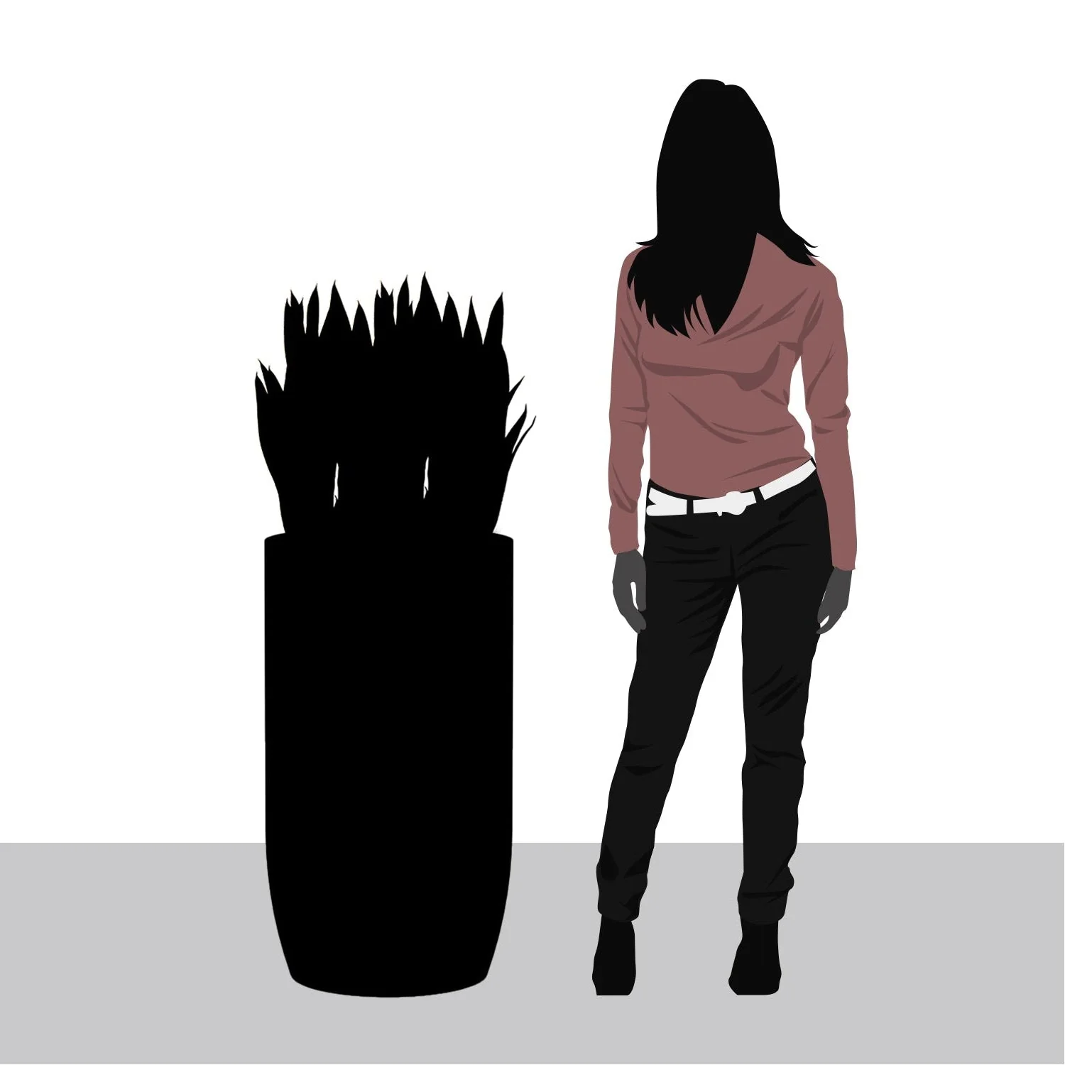 Sansevieria in Barrel Planter MD, Black Satin By Gold Leaf - Image 2