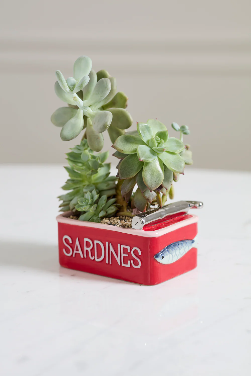 Sardine Tin Planter Set of 4 By Accent Decor - Image 8