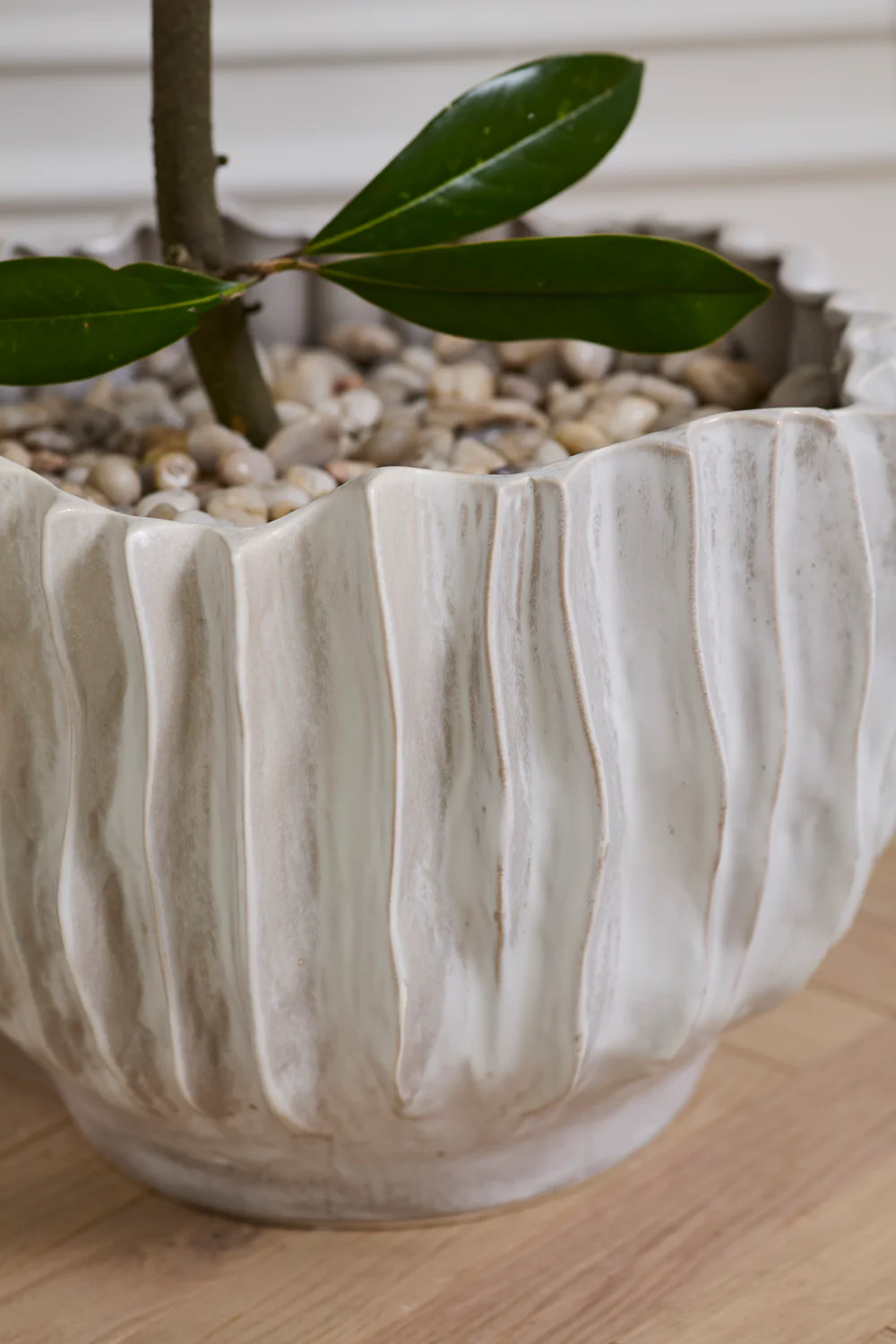 Scavo Pot By Accent Decor