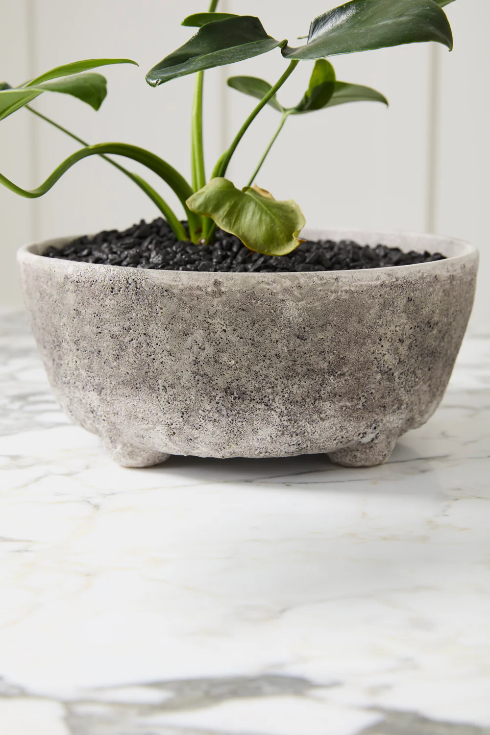 Shoal Bowl Set of 2 By Accent Decor - Image 5