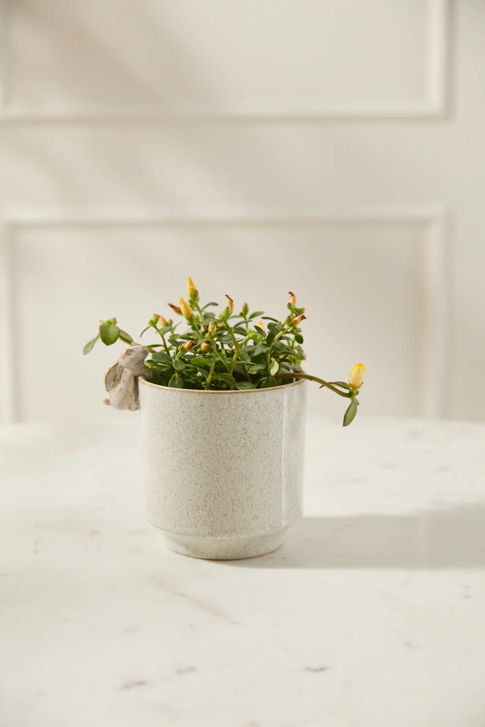 Sneaky Bunny Pot Set of 8 By Accent Decor - Image 6