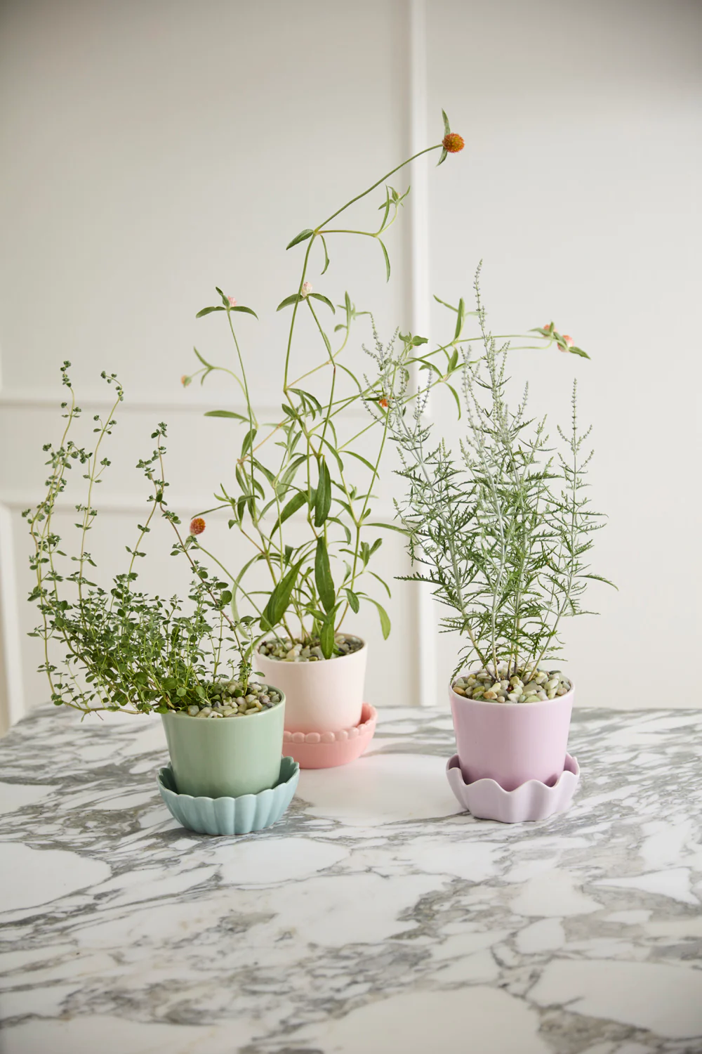 Springvale Pot with Saucer Set of 4 By Accent Decor - Image 5