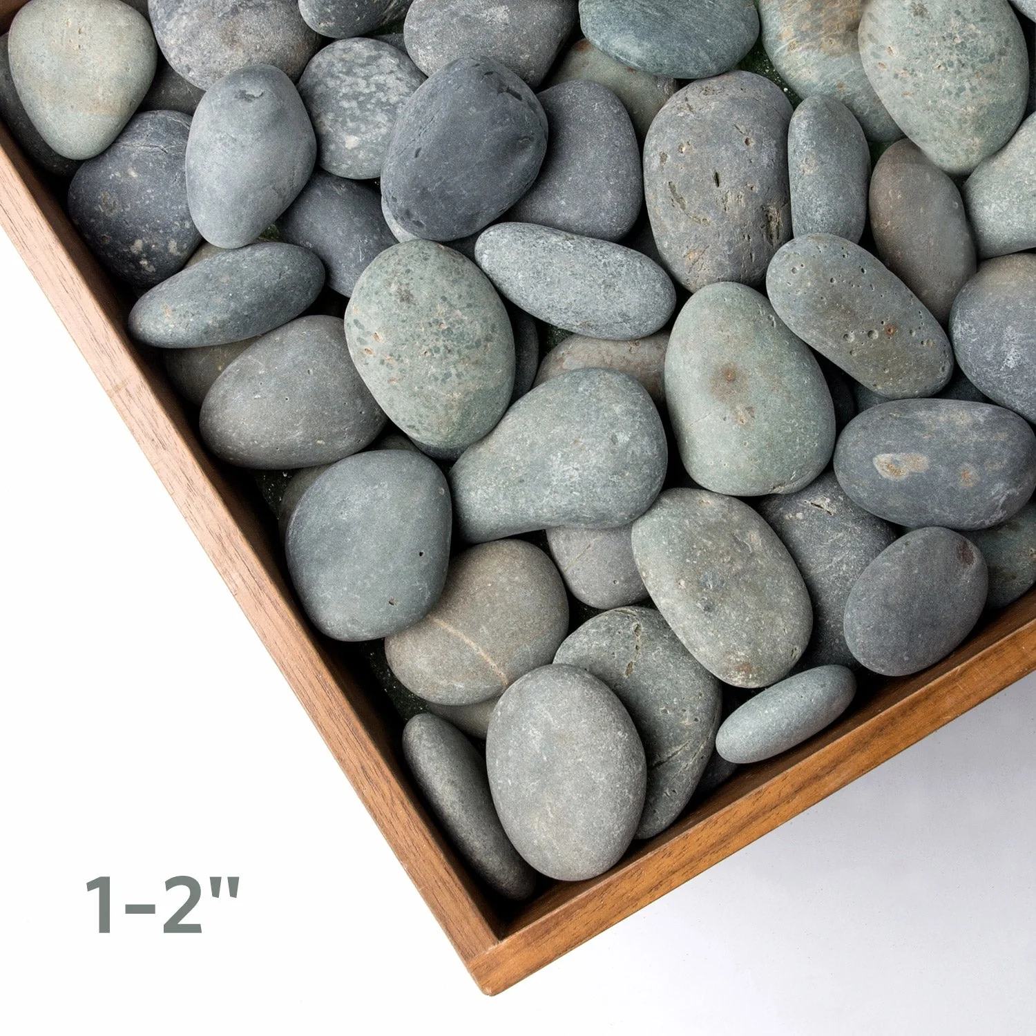 Stone Rocks, Natural River, 1- 2" By Gold Leaf