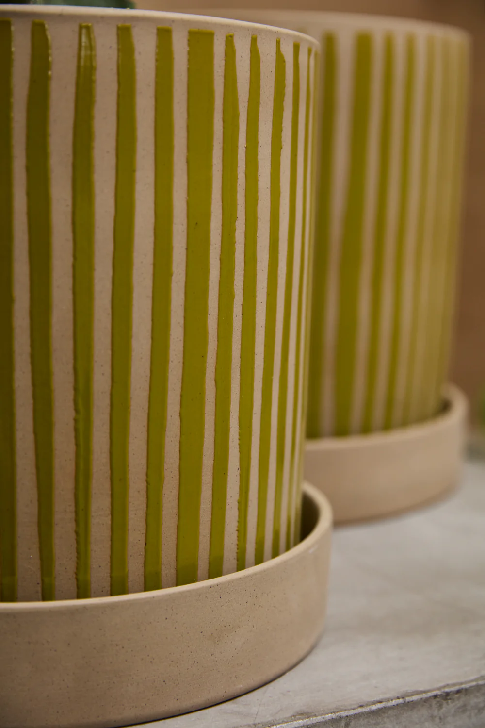 Sullivan Pot with Saucer By Accent Decor