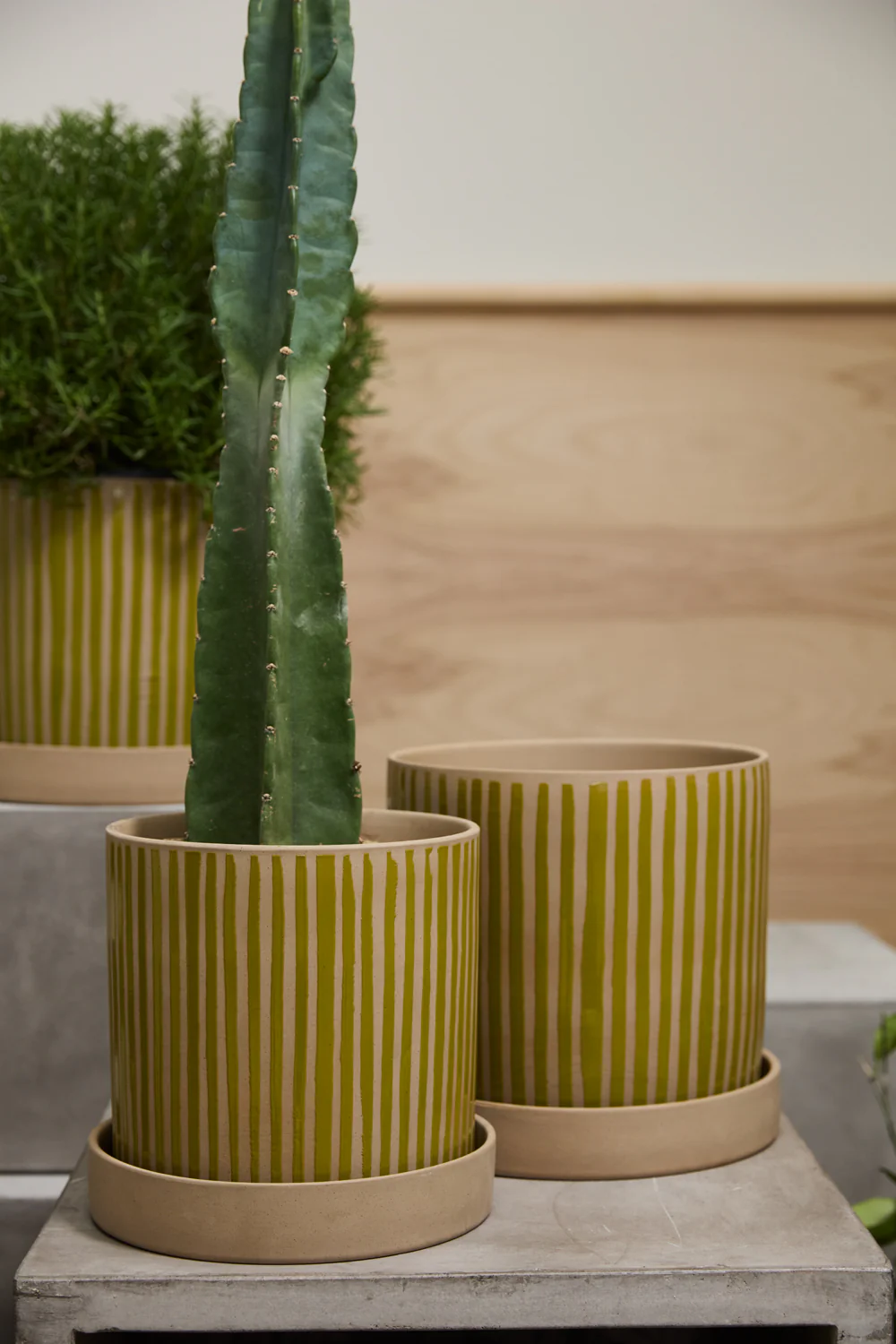 Sullivan Pot with Saucer By Accent Decor - Image 3