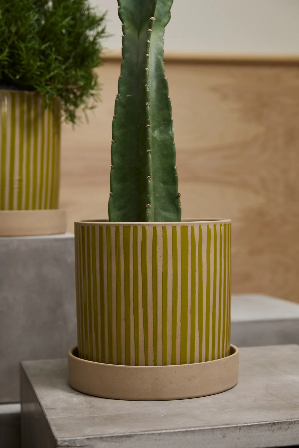 Sullivan Pot with Saucer By Accent Decor - Image 4