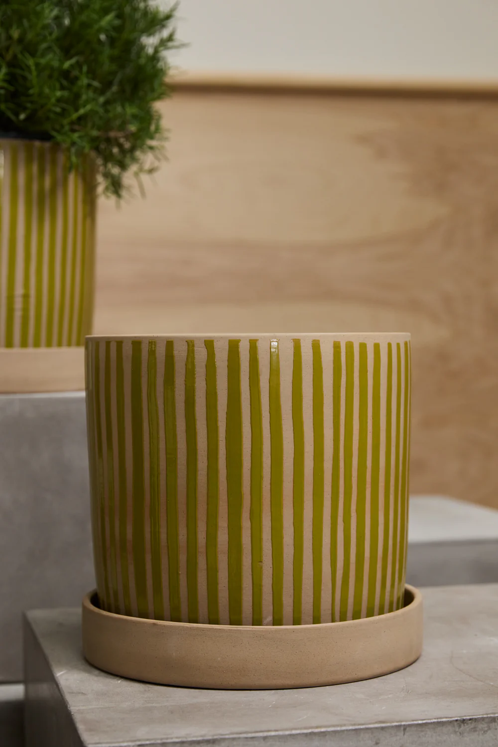 Sullivan Pot with Saucer By Accent Decor - Image 6