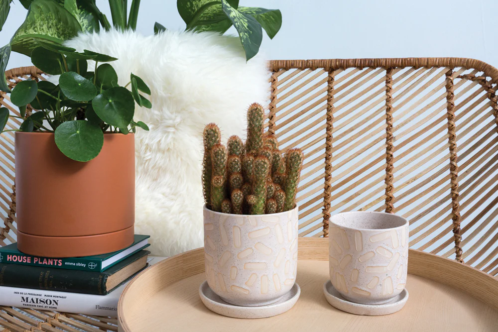 Sundae Pot Set of 4 By Accent Decor - Image 10