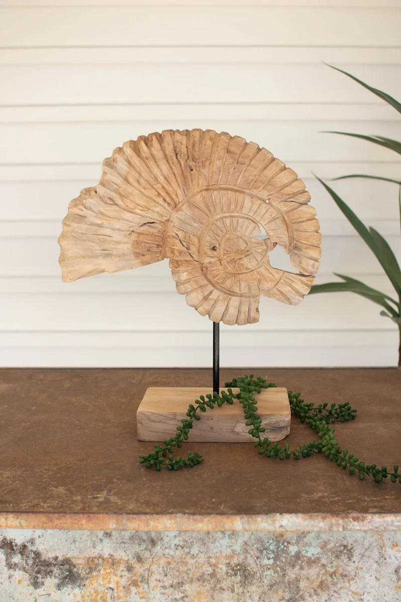 Teak Nautilus Shell On A Stand By Kalalou