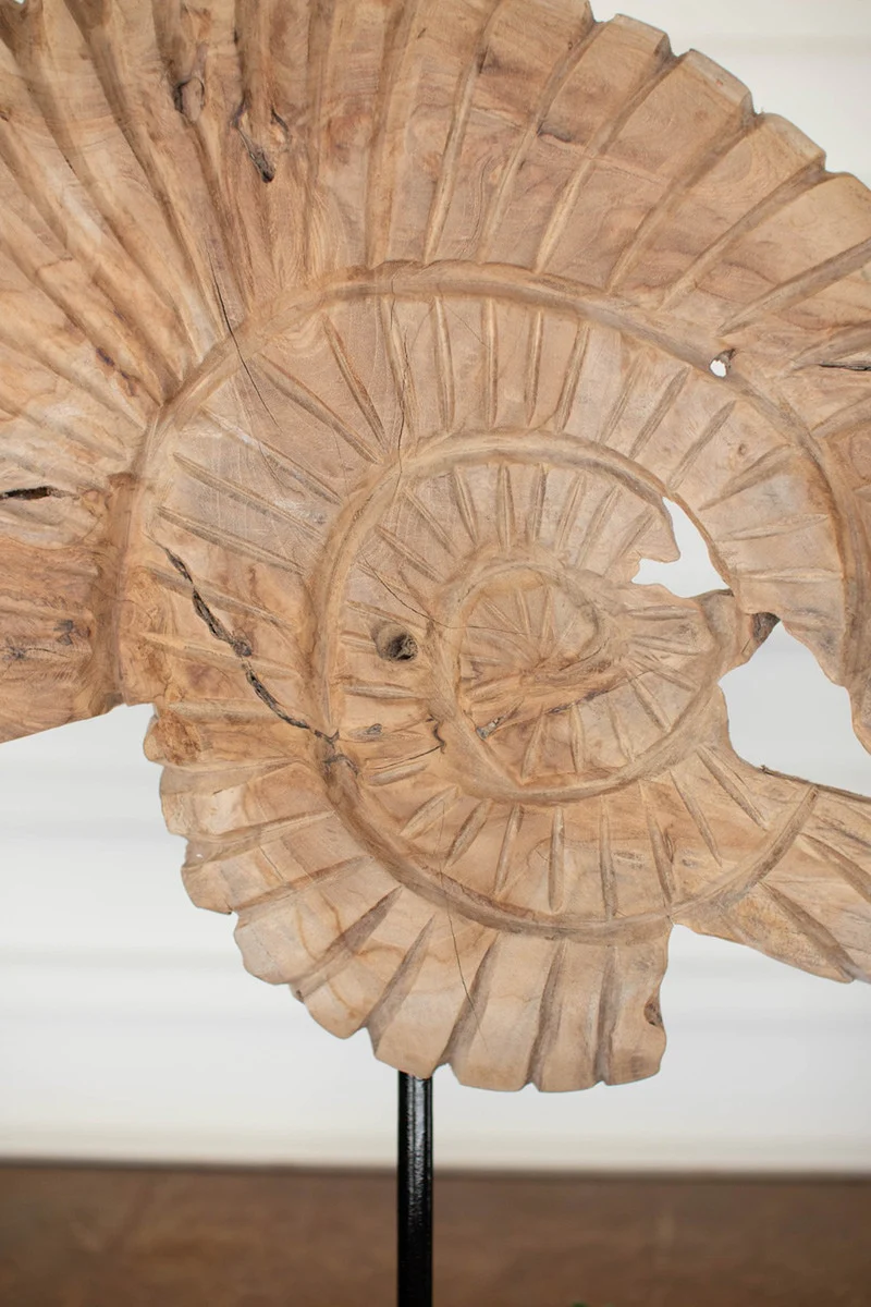 Teak Nautilus Shell On A Stand By Kalalou - Image 2